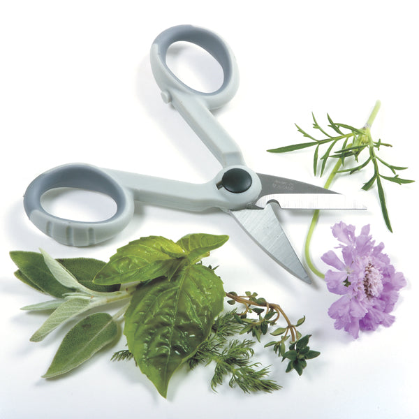 My Favorite Scissors