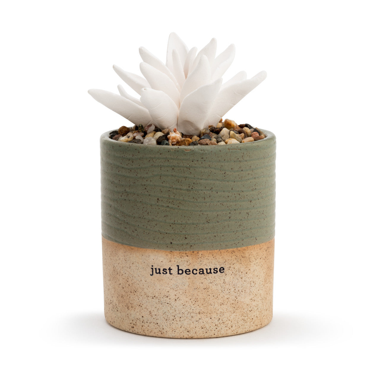 Succulent Diffuser | Just Because