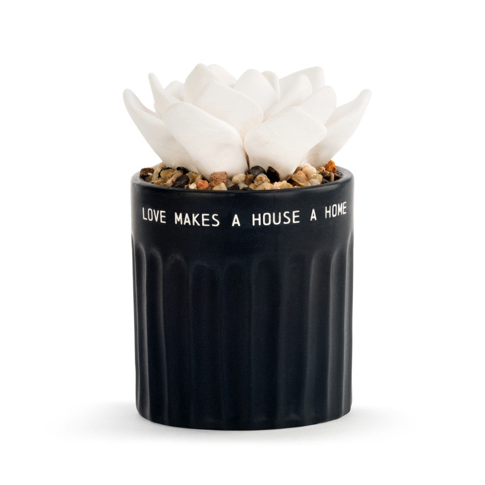 Succulent Oil Diffuser - Home