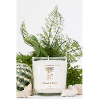 Thomas Blonde 12 oz Candle