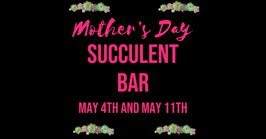 Celebrate Mother's Day in Style: Join Us for a Succulent Bar Extravaganza!