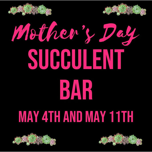 Mother's Day Succulent Bar