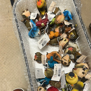 Assorted Birds