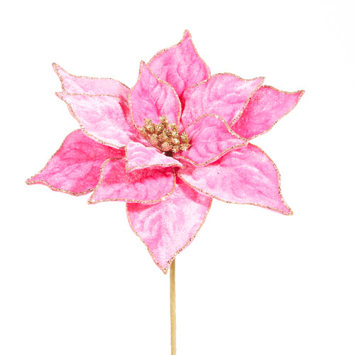 21" Hot Pink Velvet Poinsettta Stem