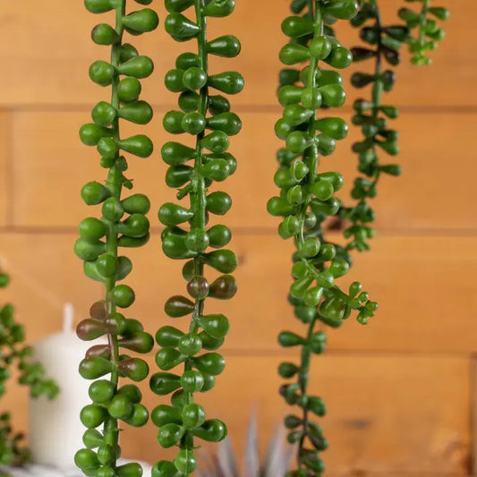 Artificial String of Pearls Succulent Pick