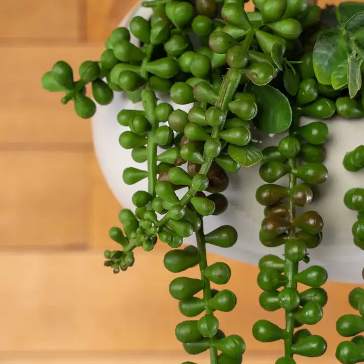 Artificial String of Pearls Succulent Pick