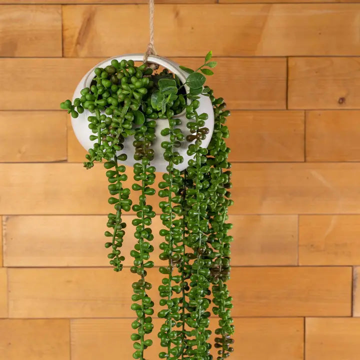 Artificial String of Pearls Succulent Pick