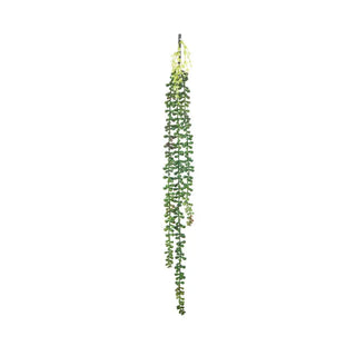 Artificial String of Pearls Succulent Pick