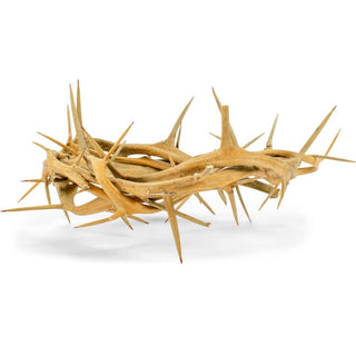 Crown of Thorns Gift Box
