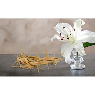 Crown of Thorns Gift Box