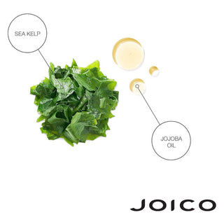 Joico Moisture Recovery Duo