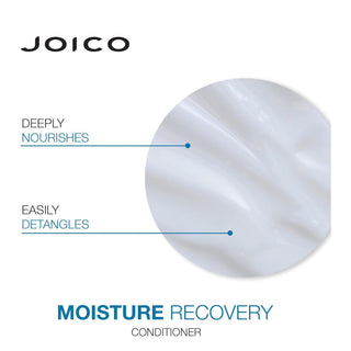 Joico Moisture Recovery Duo