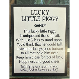 Lucky Little Piggy