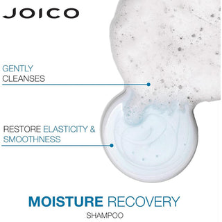 Joico Moisture Recovery Duo