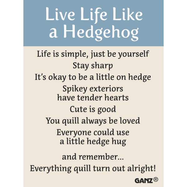 Hedgehog | Pocket Charm