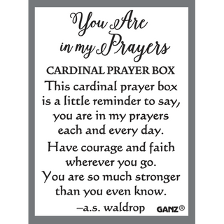 Cardinal Prayer Boxes | Pocket Charms