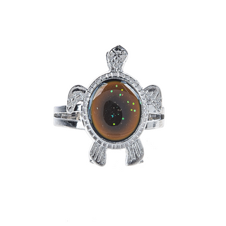 Turtle Mood Ring | Pocket Charm