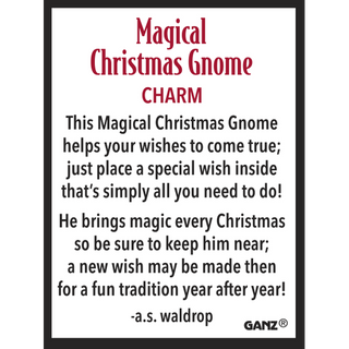 Magical Gnome Wish Box | Pocket Charm