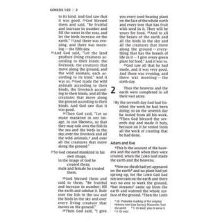 NIV Personal-Size Large-Print Bible