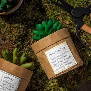 Plant Kindness Sunshine