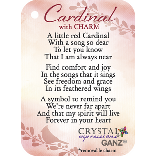 Acrylic Cardinal w/ Charm