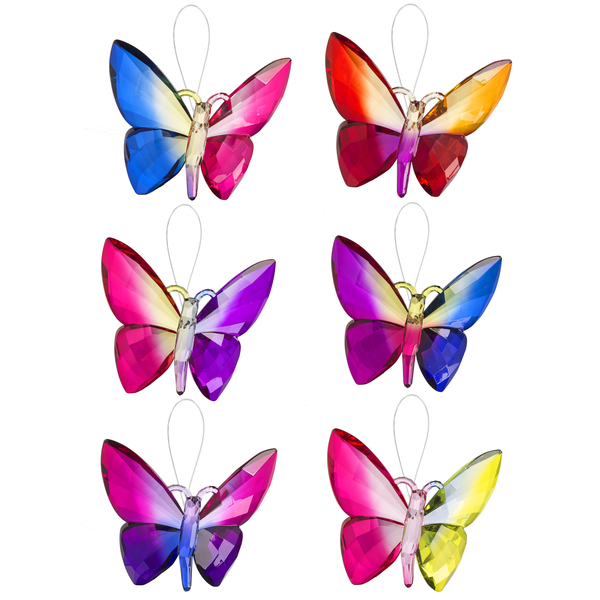 Rainbow Butterfly