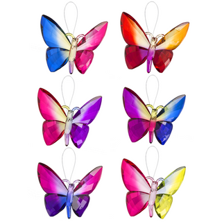 Rainbow Butterfly