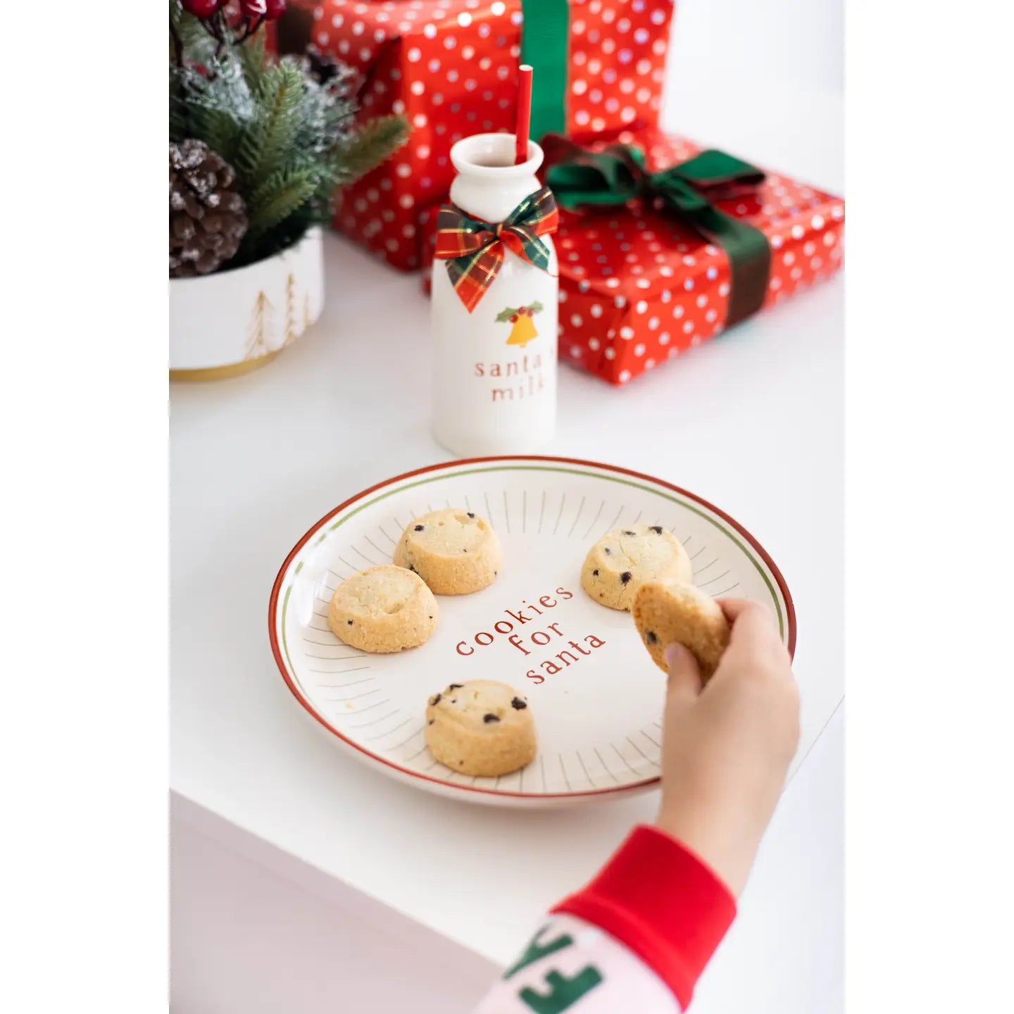 Santa Milk and Cookie Set