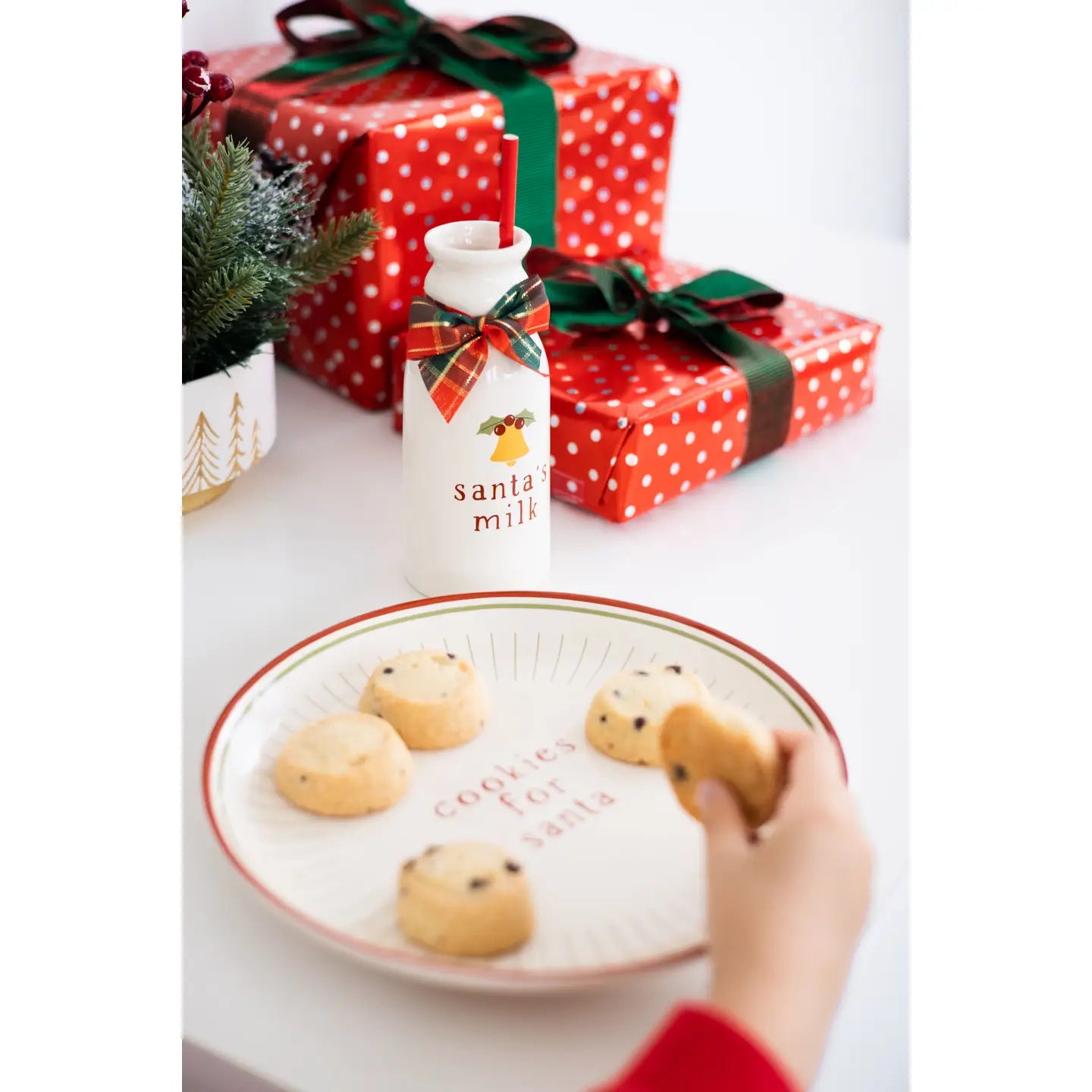 Santa Milk and Cookie Set