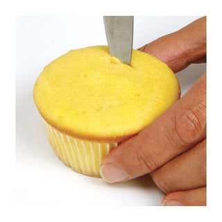 Cupcake Injector/Decorating