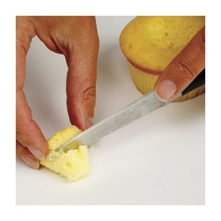 Cupcake Injector/Decorating