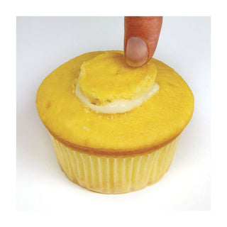 Cupcake Injector/Decorating