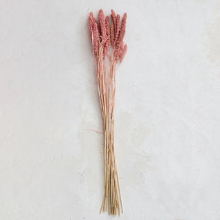 Dried Natural Foxtail Bunch, Pink