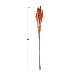 Dried Natural Foxtail Bunch, Pink