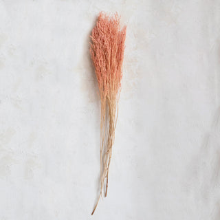 Dried Natural Love Grass Bunch, Pink