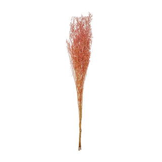 Dried Natural Love Grass Bunch, Pink