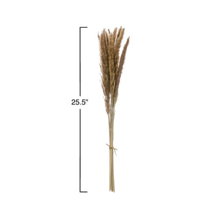 Dried Natural Pampas Grass Bunch