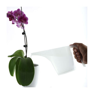 Measuring Funnel Pitcher