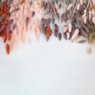 Pink Dried Natural Bunny Tail