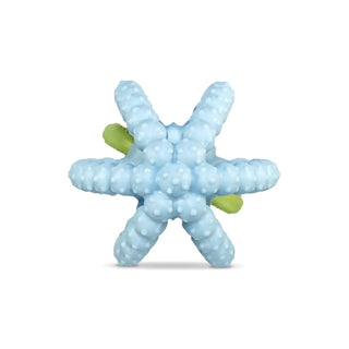 RaZberry Bites Teething Toy