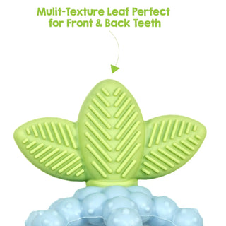 RaZberry Bites Teething Toy
