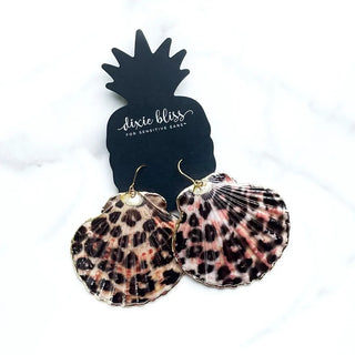Regal Leopard Scallop Shells