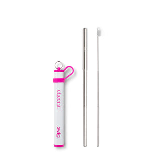 Swig Telescopic Stainless Steel Straw Set