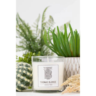 Thomas Blonde 12 oz Candle